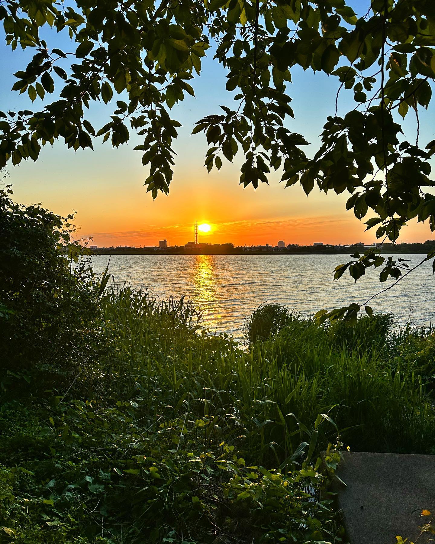 昨日今日と20キロ近く歩いた。走るほどじゃないけど汗かいた。水と緑の空気は元気もらえます。