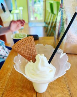 ヨーグルトサンデー？冷え冷え