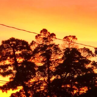 dkstudio Instagram Image