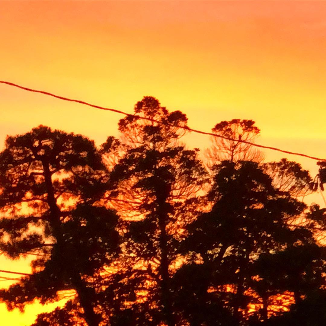 dkstudio Instagram Image