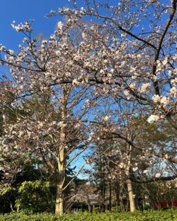 dkstudio Instagram Image