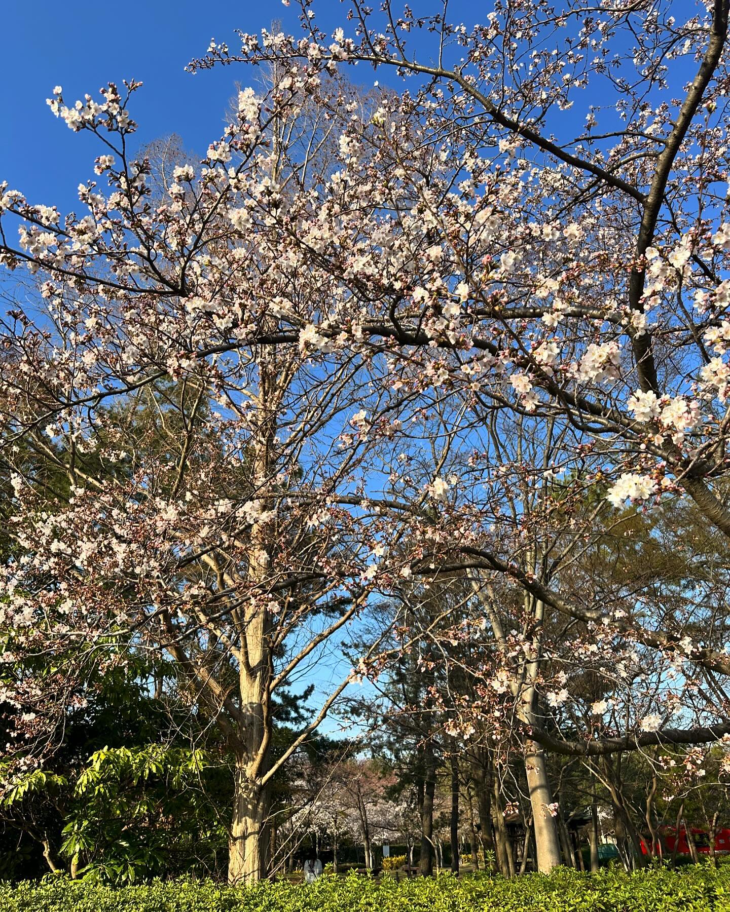 dkstudio Instagram Image