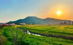 dkstudio Instagram Image