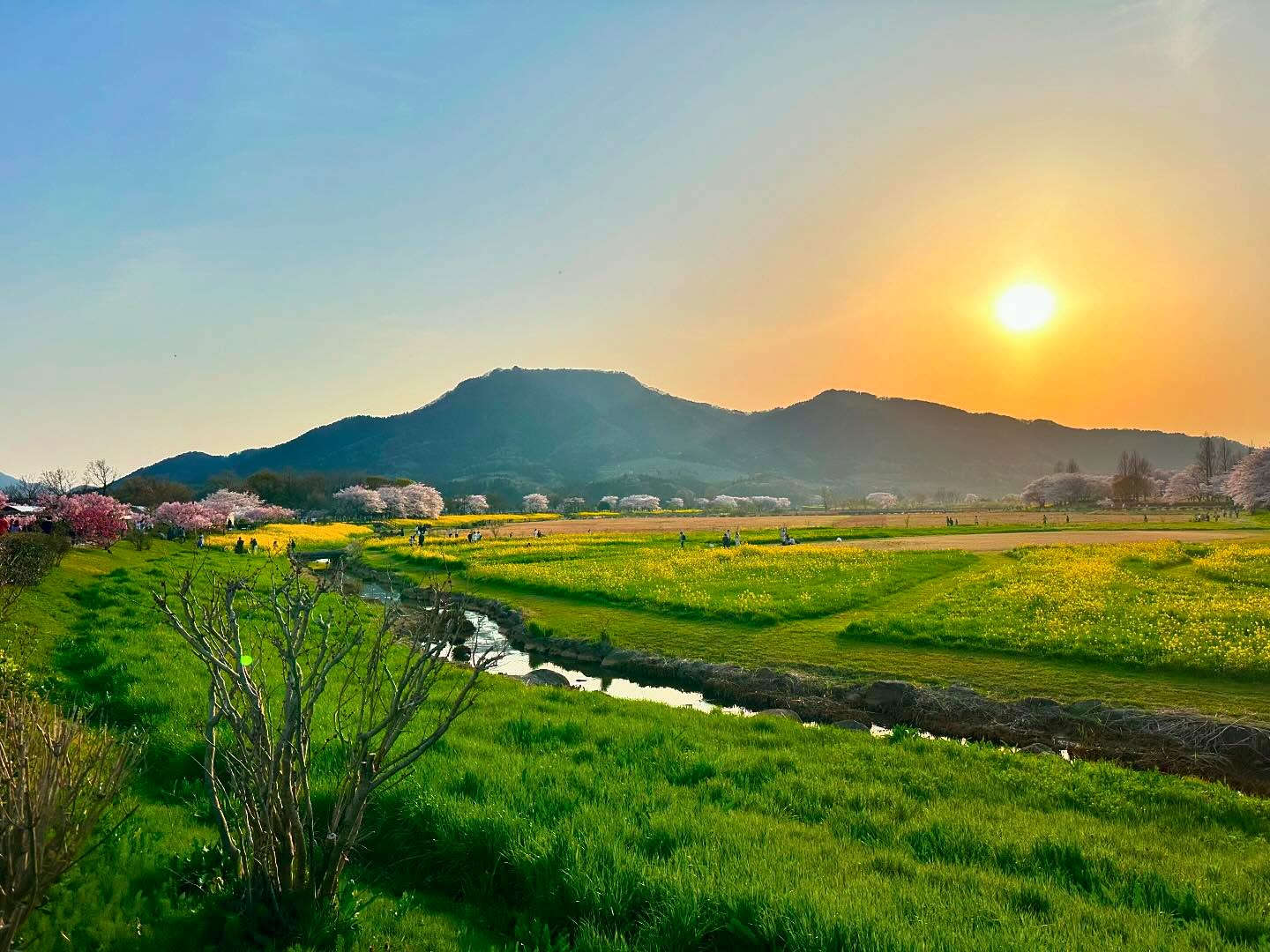 dkstudio Instagram Image