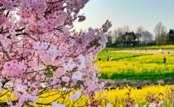 dkstudio Instagram Image