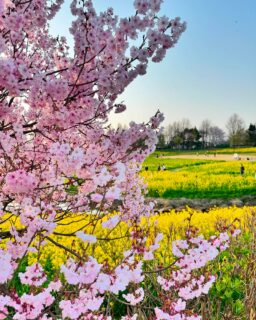 dkstudio Instagram Image