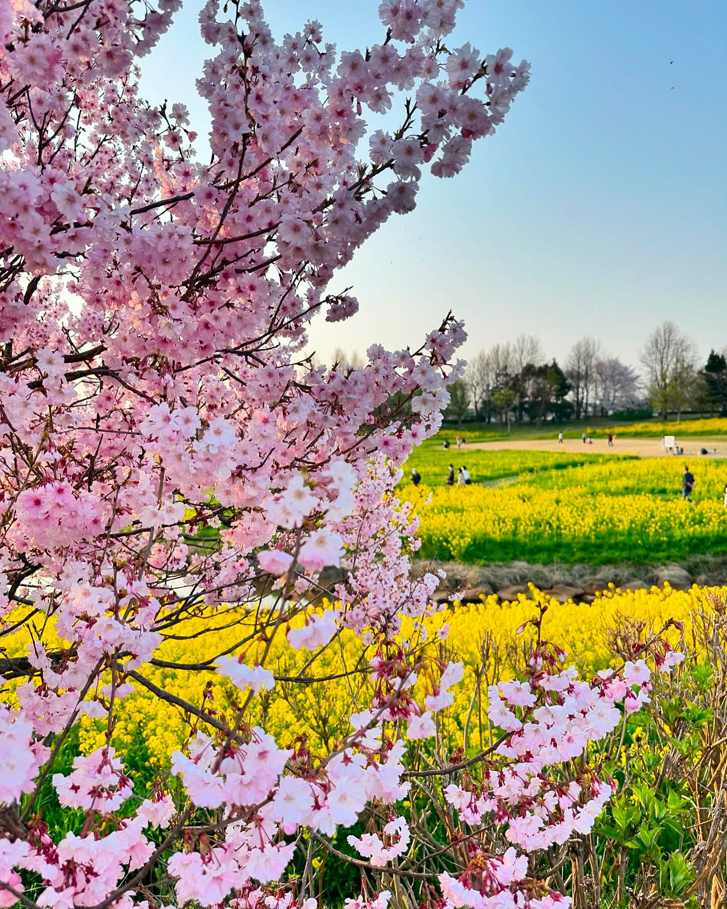 dkstudio Instagram Image