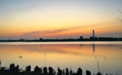 がーれーたーそー