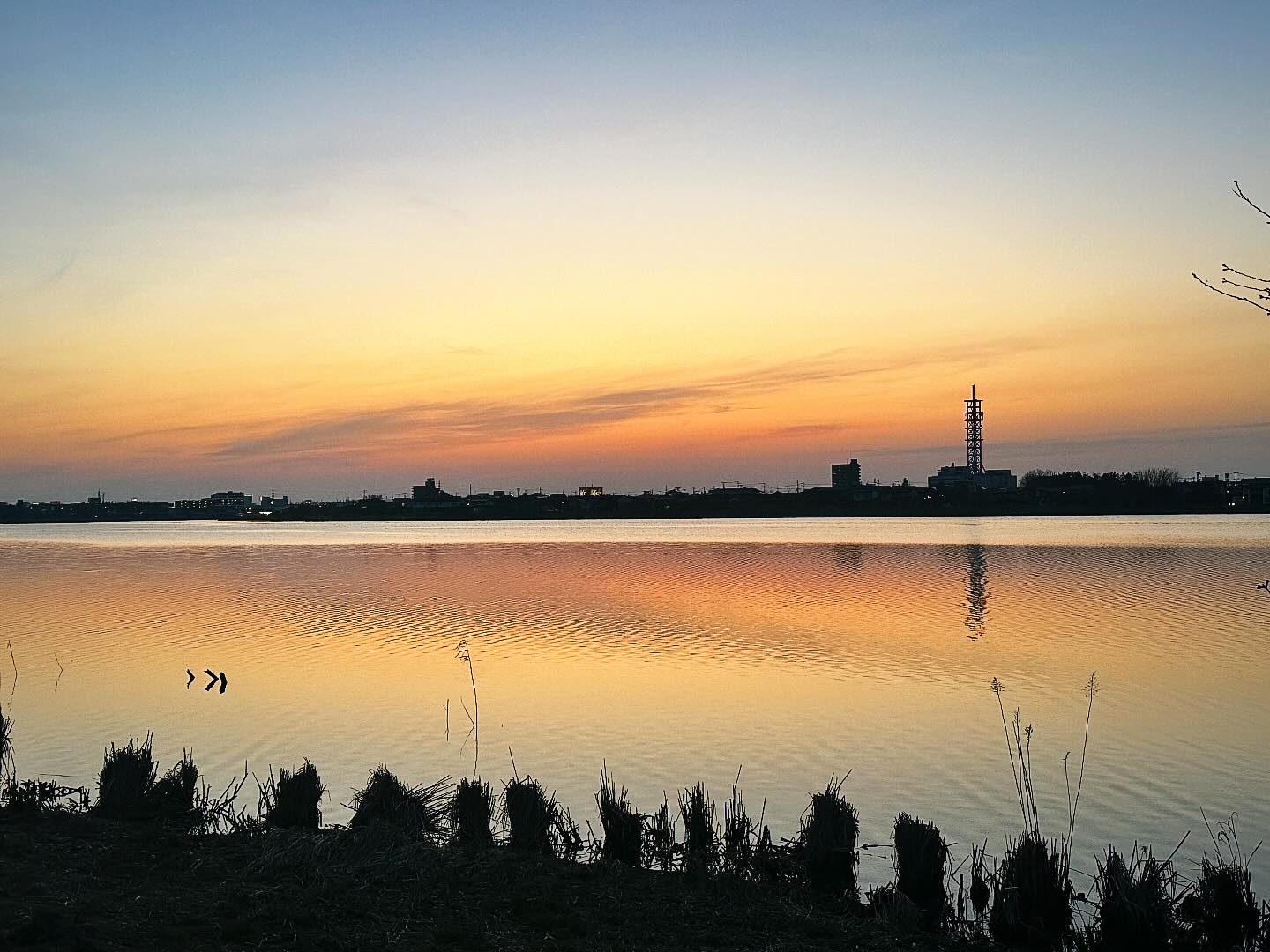 がーれーたーそー