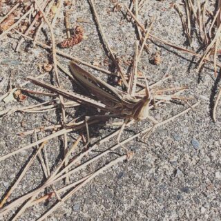 元気そうでよかったぜ