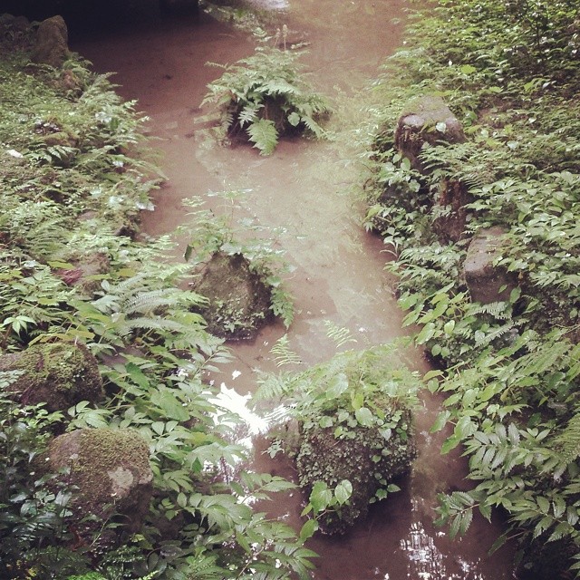 dkstudio Instagram Image