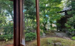 Summer visit to the grave — A seasonal tradition in Japan, where families gather to pay respects to their ancestors by cleaning the grave, offering flowers, and spending a quiet moment in remembrance.