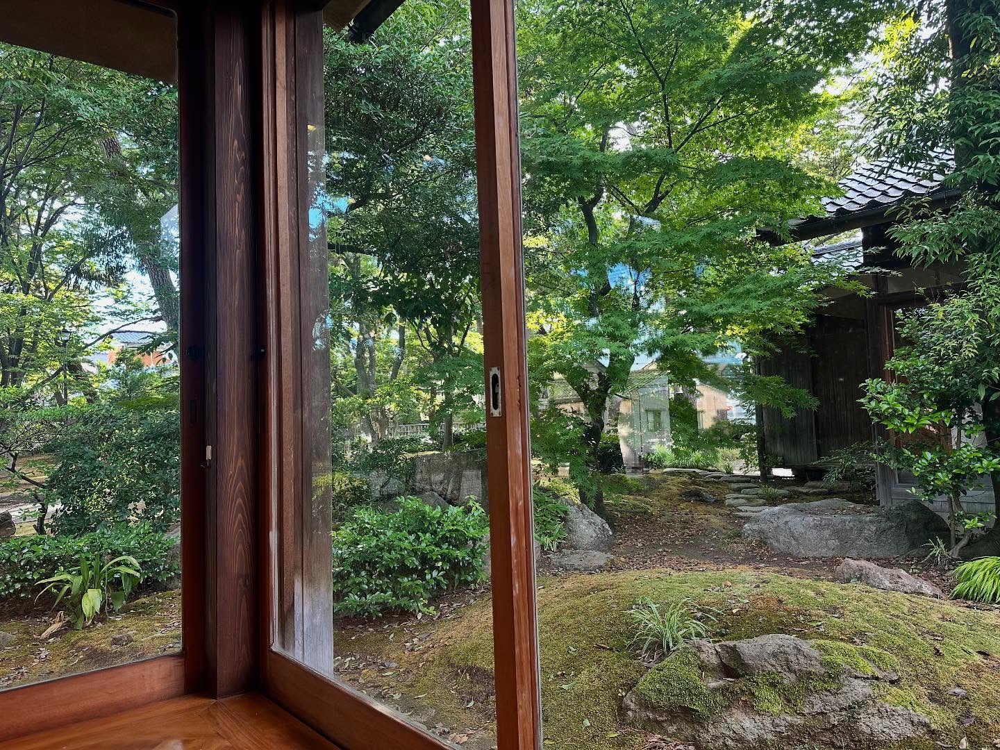 Summer visit to the grave — A seasonal tradition in Japan, where families gather to pay respects to their ancestors by cleaning the grave, offering flowers, and spending a quiet moment in remembrance.